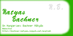 matyas bachner business card